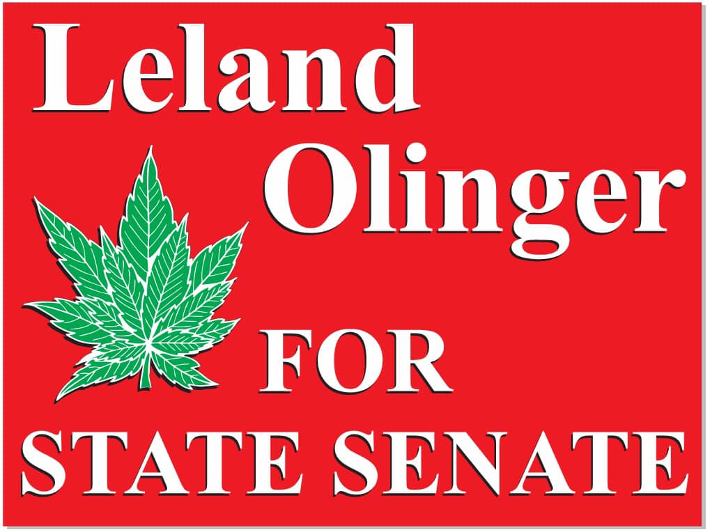 Leland for Senate – A Grassroots Campaign